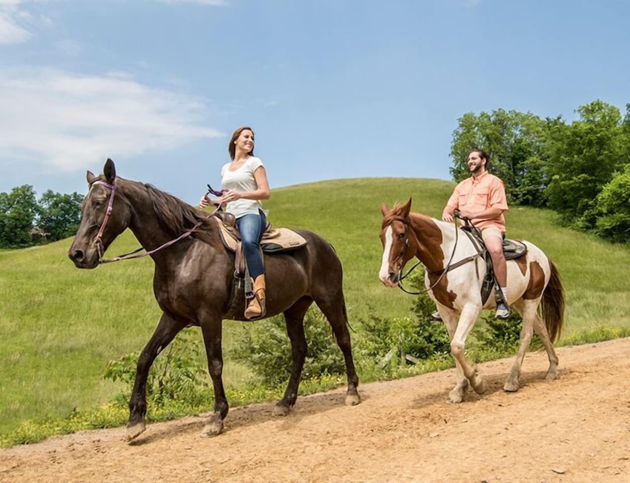 FiveOaksRidingStables