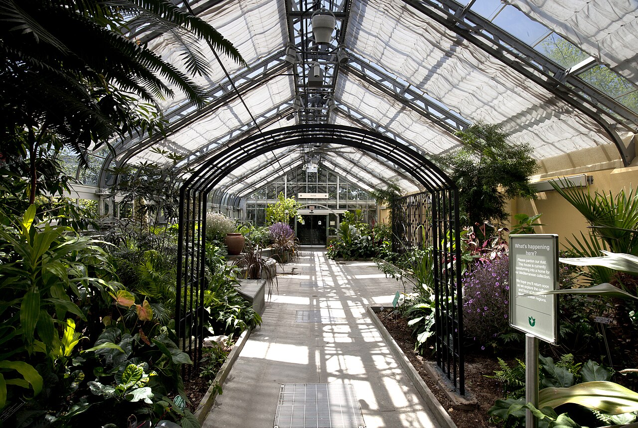 conservatory > Living room