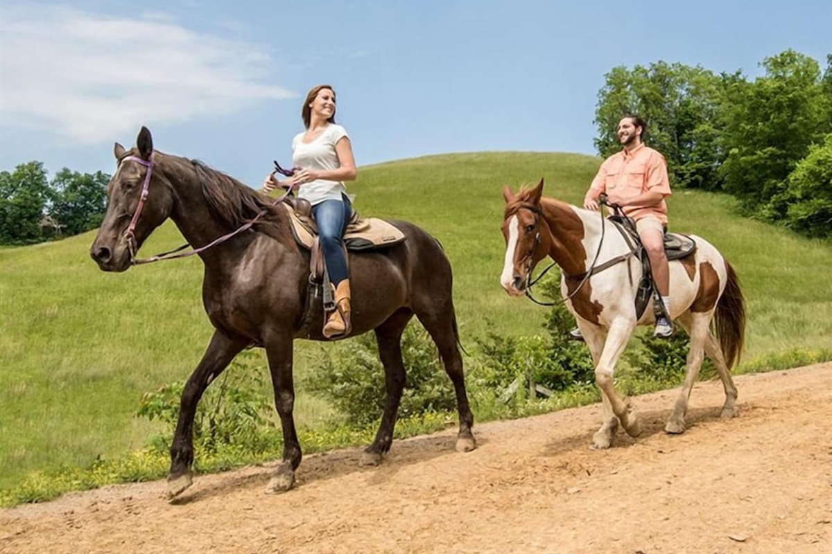 FiveOaksRidingStables
